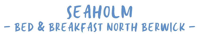 Seaholm logo